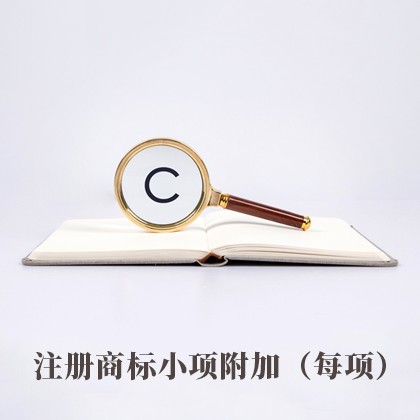 南区街道注册商标小项附加（每项）